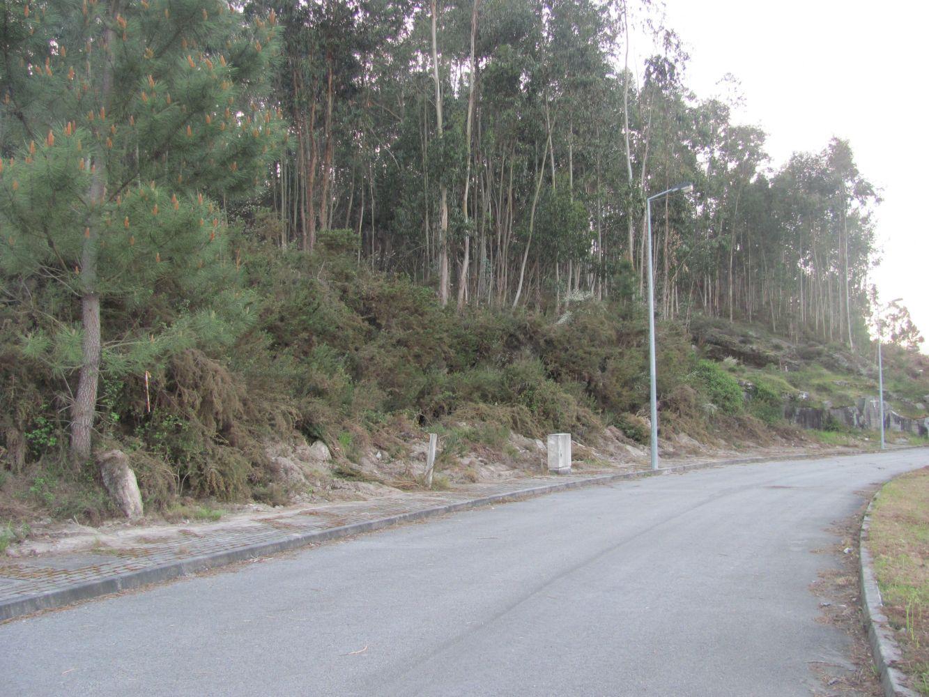 Lote de terreno
