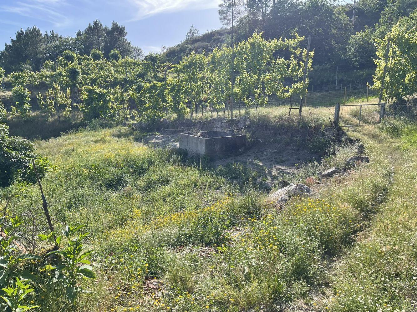 Casa de campo